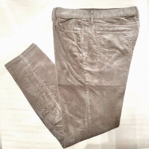 LOFT Velvet Micro Corduroy Jeans!
